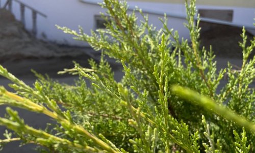 Пансионат Наши Традиции цены