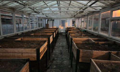 Пансионат «Доброе Сердце» - 12